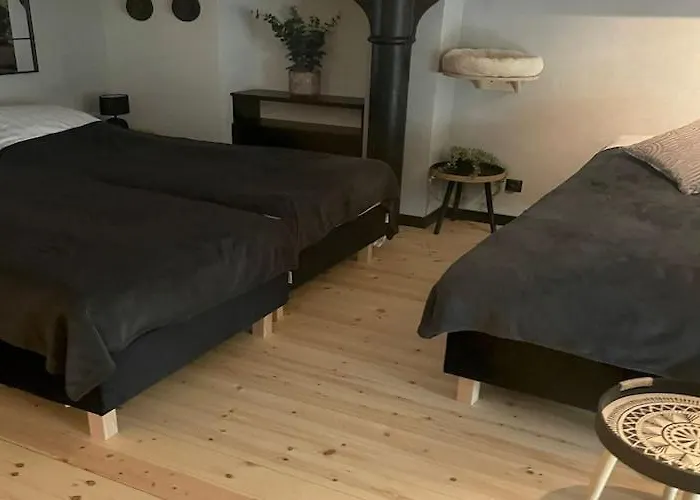 Comfortable In דירה לודז'